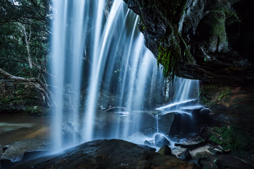 Item #11717075435639617062538583051799023982813876484308334407242089903074253471745 Media