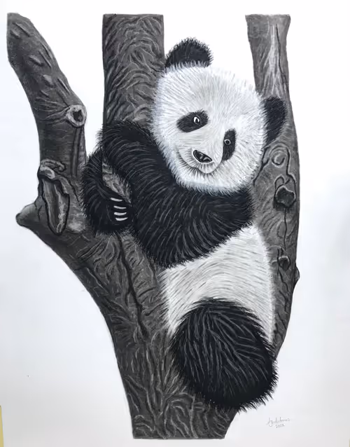 Item #60252950802118407468119049908594719643095991940499965350429669441678983823361 Media