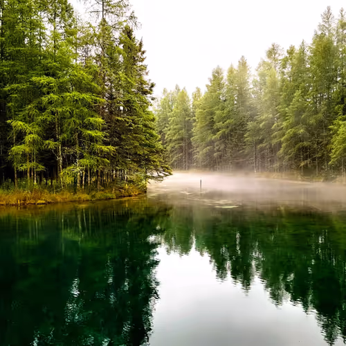 Serenity #181458076