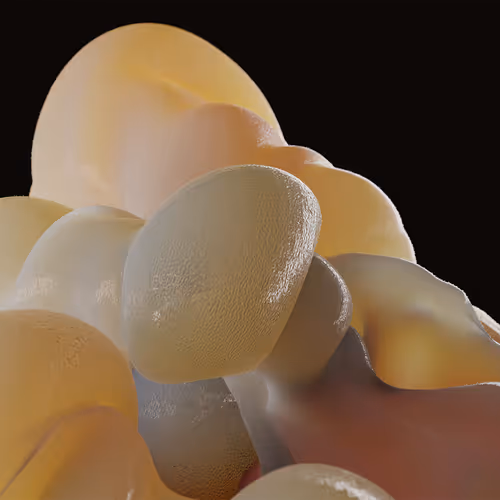 87858548873057691610145785827924316116903784724900626045837509000307681525765