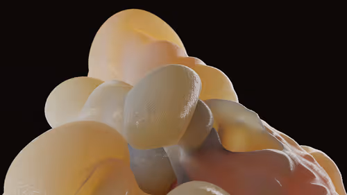 Item #87858548873057691610145785827924316116903784724900626045837509000307681525765 Media