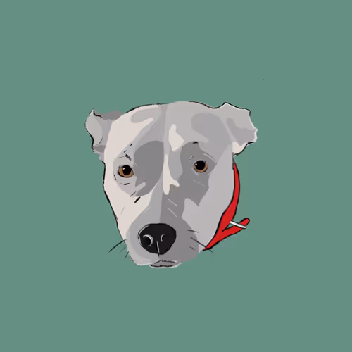 Item #468932080633969877695728093605138374042507629472844772283655157175235379201 Media