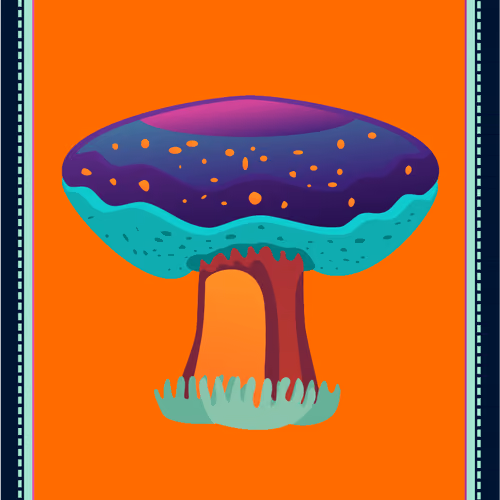 Card2b