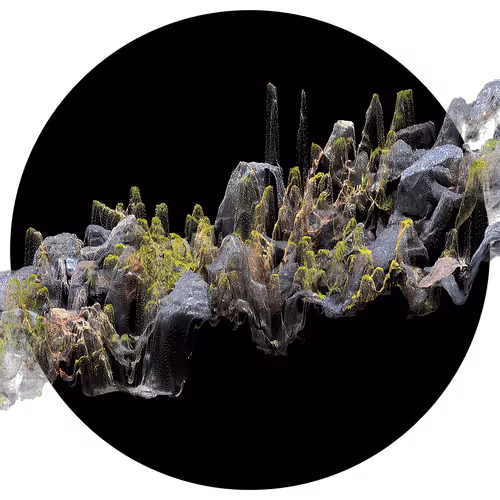 Item #3297889266964821186108216166808061648097153390725508810487041787189167915009 Media