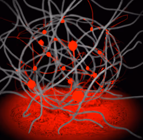 Item #33293457058661275056775848170303775746271351105386188312509916077433846497281 Media