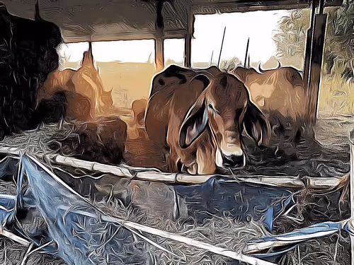 Item #81269833061274051173789884418282317830923519221172308843662164479072050085889 Media