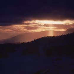 Longing & Belonging: 10 - Contrast