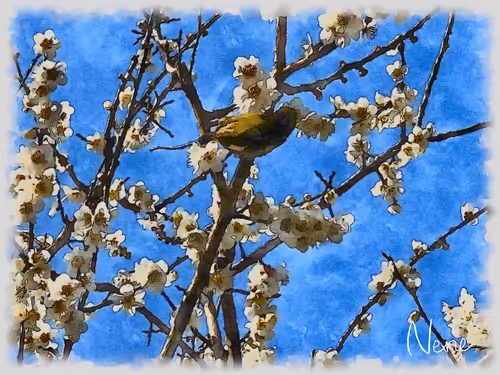 Item #92705045369588921962416214614601804579407099277882560145637197045646221115393 Media