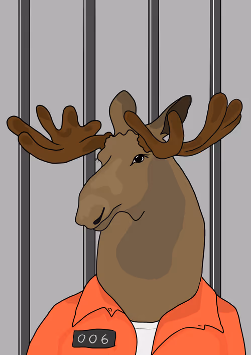 Item #81822915542031491656622355614169482544493127057611625937394166144807620050945 Media
