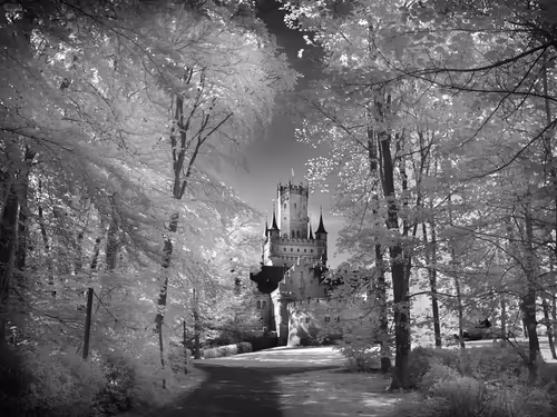 Item #40160686583094733528677484039903516258611509642019211679321071618898398281729 Media