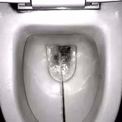 12660136923828748263426703316480839463053827608546839420335323612794528464897