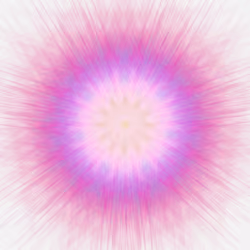 Modern Flower