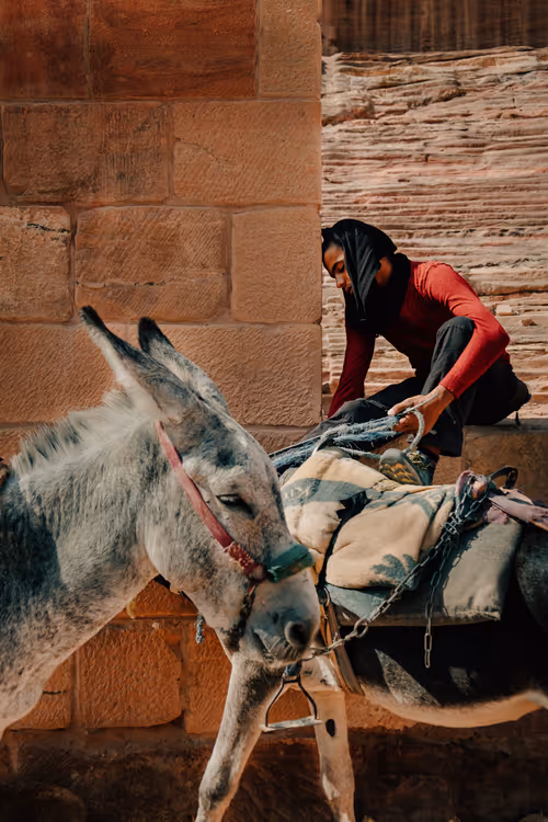 Item #114974092419654441625039525082503759617629202039134402031854666274693032443905 Media