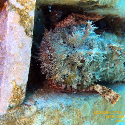 80965803268169370603932631570667161375508893671094224909166964315128923684865