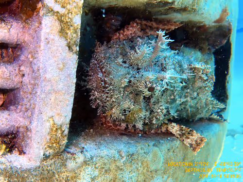 Item #80965803268169370603932631570667161375508893671094224909166964315128923684865 Media