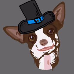 zeus tophat