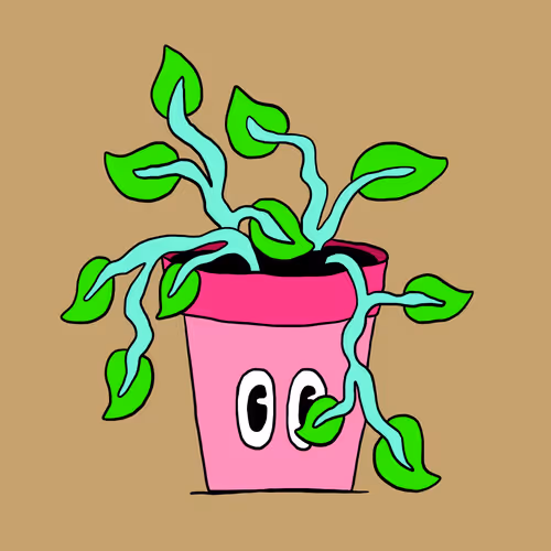 69922828041142356557675366980639324541671306626962076279007092545690502430721