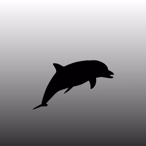 Untitled Collection #62858461