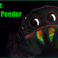 Mr. S. Peeder 01