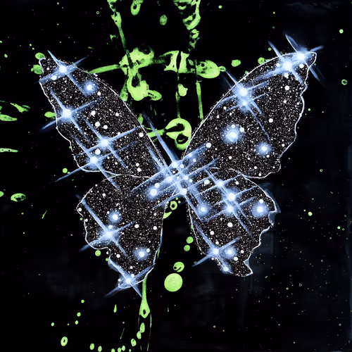 Item #31878015786887625449379653420806268900262982390960709769222713645395186024449 Media