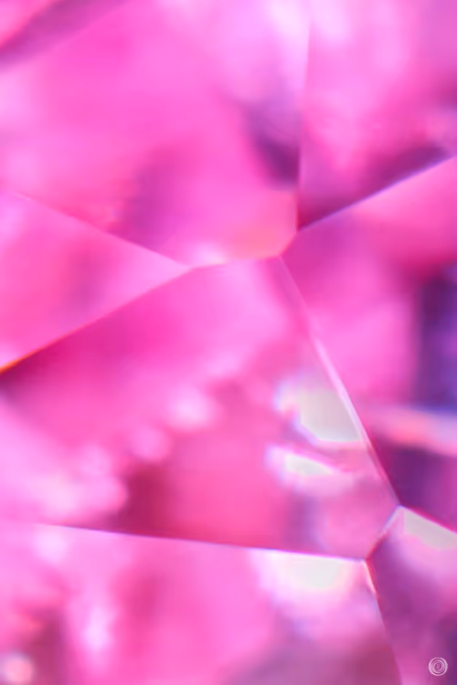 Item #106080962431400929248160011526145726141352128158429969924725129461364032536577 Media