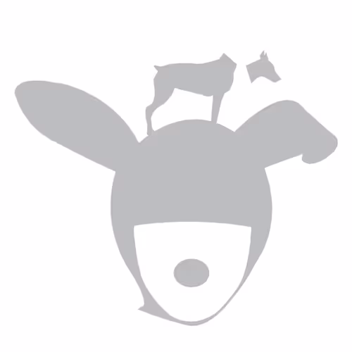 Item #93515536152774298316360250890784964292298679529723869809739574844729078054913 Media