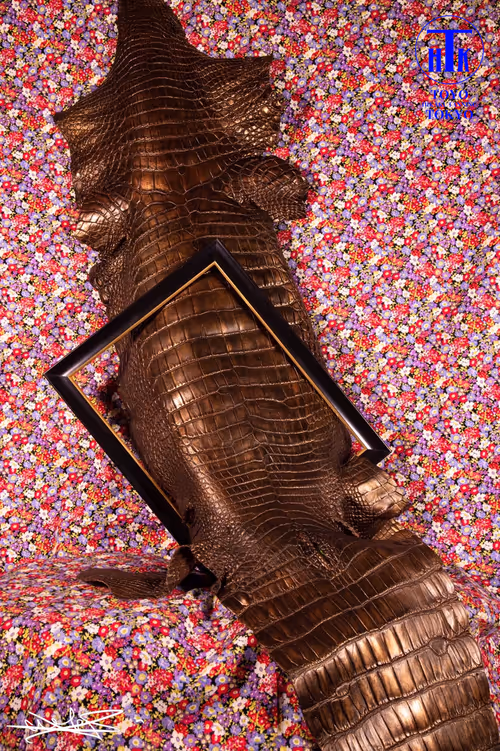 Item #65718052376404825530132698476454308049276015836189851915939897235134289543169 Media