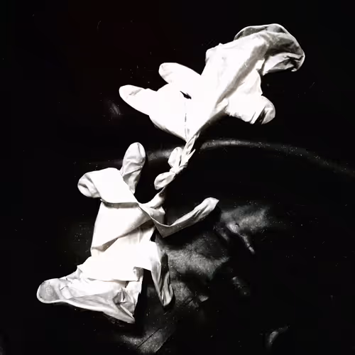 Item #19579465332489047460725573155417411555821182543570600011556976613682193629185 Media