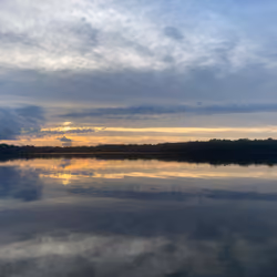 Stillness
