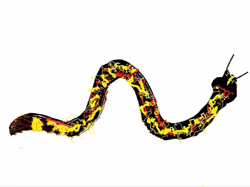 Item #98079960124238568170597694031244069312882886095664015277974250834677058240513 Media