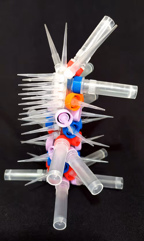 Item #108955583872739655741702358868652756405273862791069305959596897642333251567617 Media