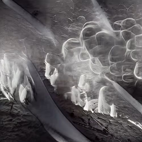 Item #93424303143004228202944318863928674844511220528362419884449812581871171665921 Media