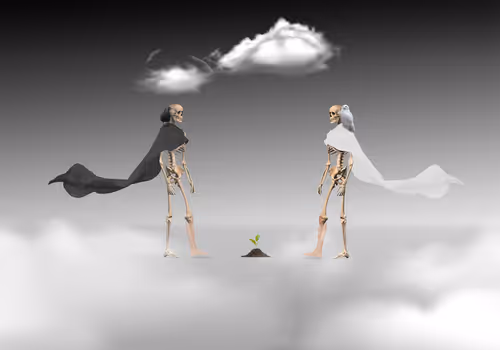 Item #55073779051637887134762349727640873690061700933532184206423611620575114428417 Media