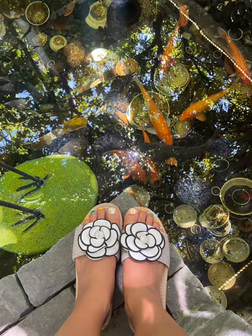 Item #20016639070522261265074286482024615868568076656625323720551142374180313366533 Media