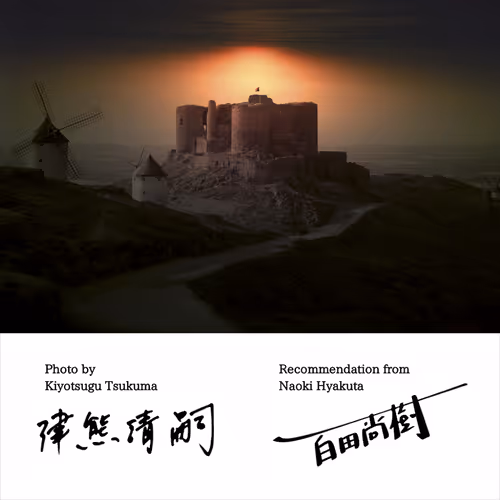 Item #50363599063163147153613145821536573388188757472313701897706766305564385345537 Media