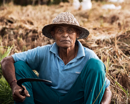 Item #20227266665588933887433646525944193582214398073362210482920990821651633405953 Media