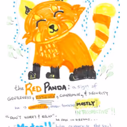 Orange Highlights - Gentle Red Panda