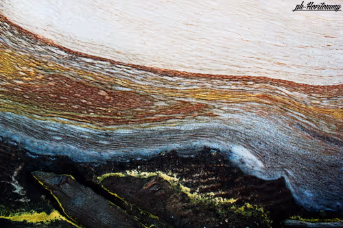 Item #106724480225674234207905183148312565268453477857390453009567810400241506582529 Media