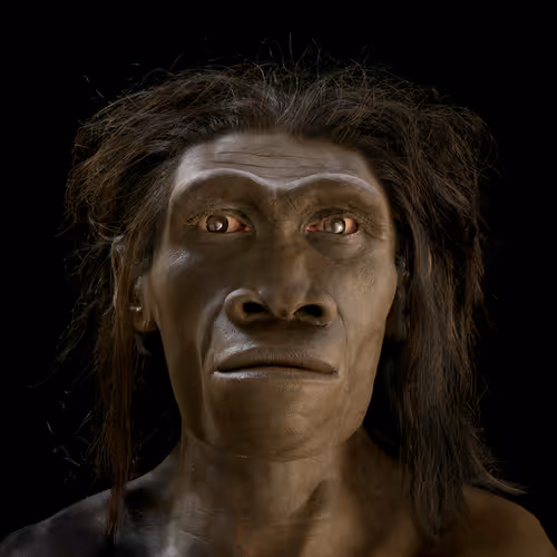 2749212597480566319420670968386715303055052819437880047570039901780355055704