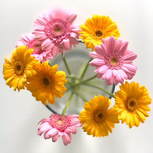 Item #1016150161625918192633671563975848473053404478538428690861967370326368059393 Media