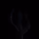 13580202180428278674891730766604379976404251323991668063498980232619089723393