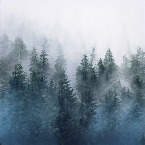 Item #47559451843736372481830899747083495530740509927607212916086401422976582942725 Media