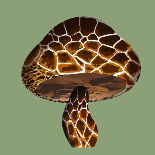 46034849265832991985054005845495595569977159826723230396281255896619050598401