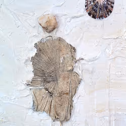 312640636986488383809967770133735614137631931927761305121196829397043118081