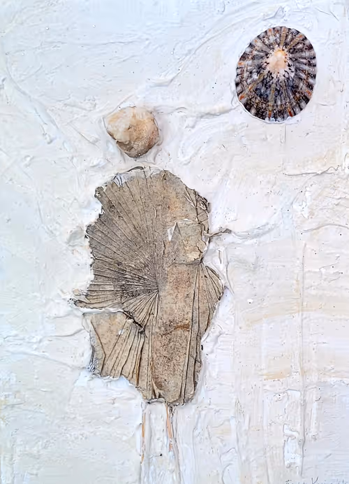 Item #312640636986488383809967770133735614137631931927761305121196829397043118081 Media