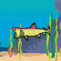 78964944229926021655968168462037545876501657311134209832205588410930995134465