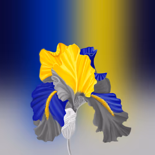 Item #71300288088331160583873958461823293589927640966077711771202895674983877443585 Media