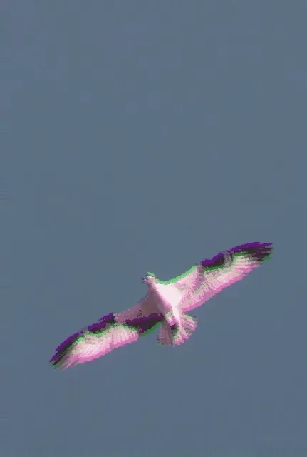 Item #67722600005193427097683426082186481512657765209996411579300368392783795322881 Media