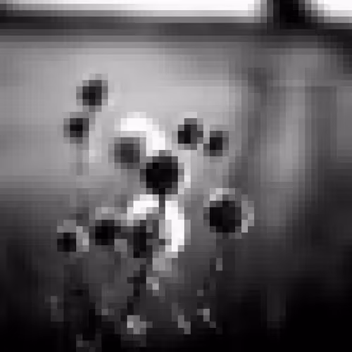 Delikafa Collection - old