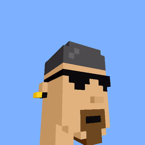 PunkVoxels #2050